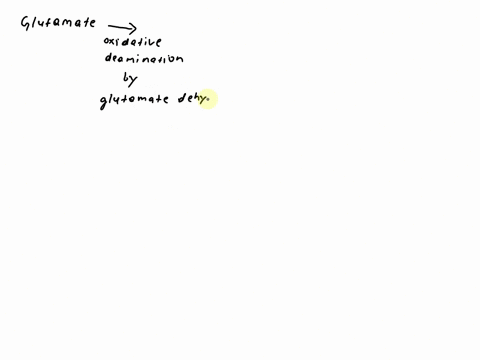 which-of-the-following-statements-about-glutamate-is-true-a-it-is-produced-in-a-transamination-reaction-which-aspartate-forms-oxaloacetate-b-it-can-be-converted-to-arginine-by-a-series-of-re-83159