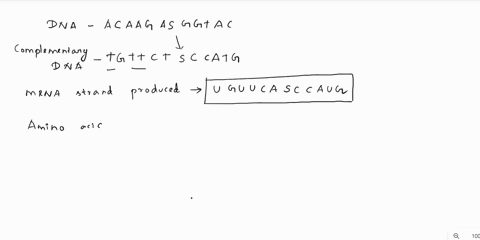 complete-the-following-if-given-the-dna-strand-acaagacggiac-mrna-strand-produced-amino-acids-order-use-the-amino-acid-chart-from-the-book-circle-or-highlight-the-correct-choice-within-the-pa-25036