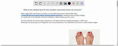 what-is-the-medical-term-for-the-condition-commonly-known-as-a-bunion-98937