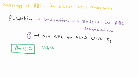 13-which-process-is-most-responsible-for-the-sickling-of-cells-seen-in-sickle-cell-disease-a-aggregation-of-the-oxygenated-r-form-of-hemoglobin-s-to-form-insoluble-fibers-b-aggregation-of-th-36245