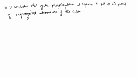 why-is-cyclic-photophosphorylation-essential-to-the-calvin-cycle-28238