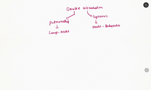 which-of-the-following-is-the-flow-of-blood-from-the-heart-through-the-systematic-circulationaorta-arteries-arterioles-venules-veins-capillariesaorta-capillaries-arteries-arterioles-venules-83275