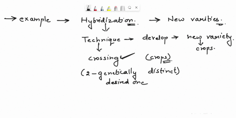 discuss-with-an-example-how-hybridization-is-used-for-developing-new-varieties-of-crops-with-desired-charach-64309