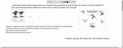 1-what-observations-lead-charles-darwin-to-conclude-that-populations-evolve-through-the-process-of-natural-selection-how-does-natural-selection-differ-from-other-ways-in-which-population-can-87516