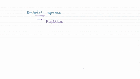 what-color-would-be-the-endospores-of-bacillus-after-a-gram-stain-is-performed-why-53592