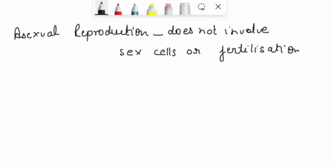 which-of-the-following-is-not-a-form-of-asexual-reproduction-spore-formation-budding-fertilization-fission-74317