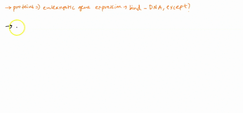 question-4-ail-of-the-following-proteins-involved-in-eukaryotic-gene-expression-bind-directly-to-dna-except-a-mediator-proteins-b-activator-proteins-c-general-transcription-factors-d-dna-ben-07653