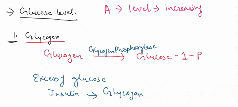 the-following-diagram-displays-an-individuals-change-in-blood-sugar-throughout-the-day-150-7-140_-130-120-110_-1-100-90-80_-70-1-60-50-blood-glucose-levels-b-time-hours-use-the-dropdown-optl-91139
