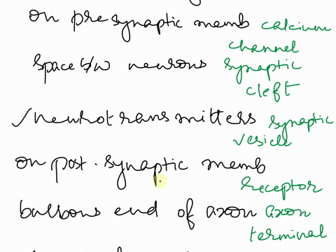 p-r-e-l-a-b-activity-3investigating-the-chemical-synapse-1-match-each-of-the-following-descriptions-with-the-correct-term-a-located-on-presynaptic-membrane-1-synaptic-cleft-b-space-between-t-08665