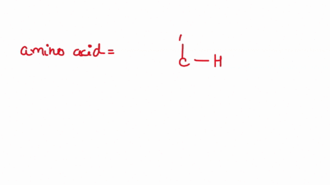 explain-about-amino-acids-and-proteins-93993