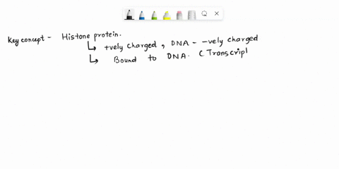 complete-the-sentence-_-histone-proteins-bind-tightly-to-dna-and-strengthen-hydrogen-bonds-between-bases-increase-the-transcription-rate-for-particular-gene-stabilize-condensed-chromosomal-d-75244