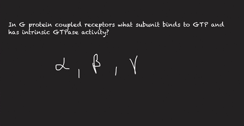 in-g-protein-coupled-receptors-what-subunit-binds-to-gtp-and-has-intrinsic-gtpase-activity-0-alpha-0-gamma-0-beta-0-delta-36884
