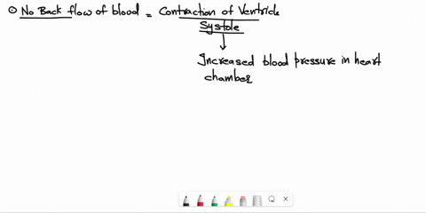 why-there-is-no-back-flow-of-blood-from-ventricles-to-auricles-during-the-ventricular-systole-86448