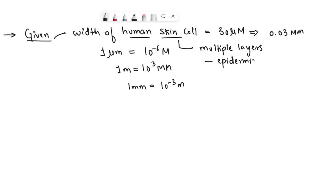 solved-the-scale-bar-has-a-width-of-20-micrometers-or-20-m-there