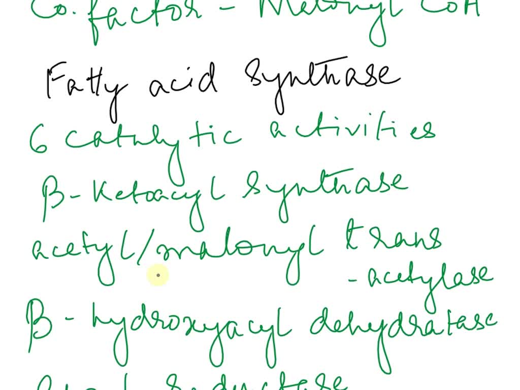 SOLVED Fatty Acid Synthesis Draw the reaction catalyzed by acetylCoA