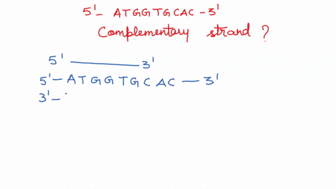 the-start-of-the-coding-region-for-the-human-b-globulin-gene-reads-5-atggtgcac-3-what-is-the-sequence-of-the-complementary-strand-for-this-segment-of-dna-28325