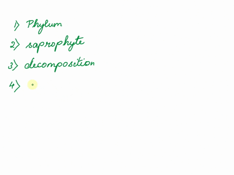 match-these-items-1-taxonomic-category-within-a-kingdom-fermentation-2-plant-that-lives-on-decaying-organic-matter-host-3-break-down-of-complex-molecules-into-simpler-ones-rhizoids-4-multi-n-53279