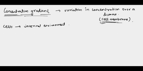 which-term-describes-the-difference-in-the-concentrations-of-a-substance-across-a-cells-membrane-concentration-gradient-molecular-concentration-diffusion-membrane-concentration-membrane-41284
