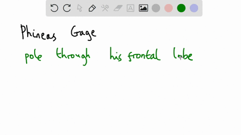describe-the-case-study-of-phineas-gage-96723