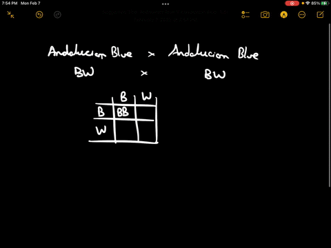 exercise-non-mendelian-inheritance-incomplete-dominance-chickens-1-1-pts-perform-the-crosses-show-the-genotypic-and-phenotypic-ratios-a-andalusian-blue-x-andalusian-blue