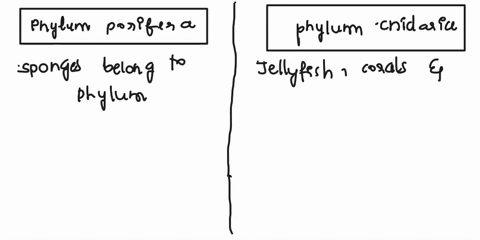 tell-the-answer-fast-45096