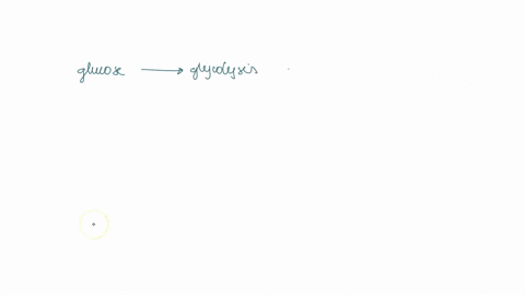 question-1a-how-is-energy-atp-obtained-from-molecules-besides-carbohydrates-fat-catabolism-includes-the-breakdown-of-fatty-acid-tails-through-a-process-called-_______________-_______________-47106