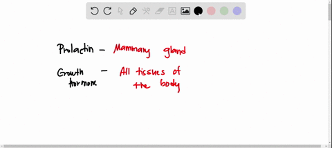 match-the-hormone-secreted-by-the-anterior-pituitary-with-its-target-prolactin-prl-click-to-select-growth-hormone-click-to-select-tsh-click-to-select-acth-click-to-select-fsh-and-lh-click-to-77627