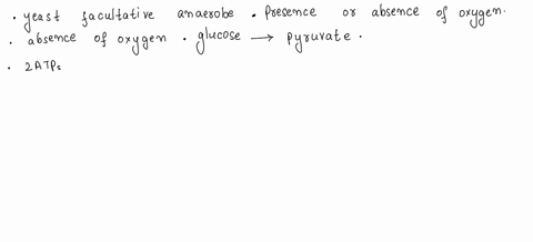 louis-pasteur-found-that-growing-yeast-without-oxygen-used-almost-15-times-more-glucose-for-the-same-amount-of-cells-than-growing-yeast-in-the-presence-of-oxygen-this-inhibition-is-called-th-97945
