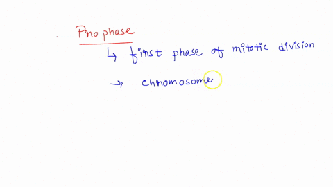 compare-and-contrast-between-prokaryotic-and-eukaryotic-cell-at-the-molecular-level-10-marks-mark-57528