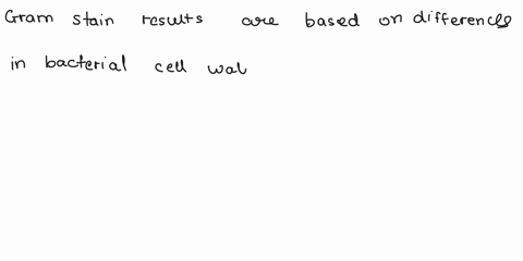 what-is-the-basis-for-gram-stain-results-between-different-bacteria-83272