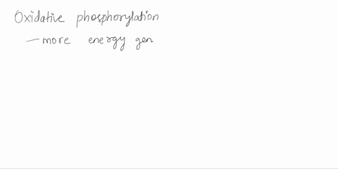 which-of-the-following-processes-generates-the-largest-number-of-atp-molecules-chooseone-glycolysis-gluconeogenesis-electron-transport-chain-citric-acid-cycle-fermentation-53516