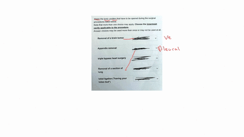 match-the-body-cavities-that-have-to-be-opened-during-the-surgical-procedures-listed-below-note-that-more-than-one-choice-may-applychoose-the-innermost-cavity-applicable-to-the-procedure-ans-74882
