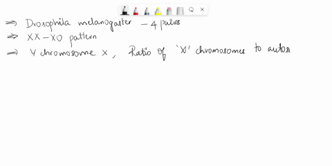 drosophila-melanogaster-has-four-pairs-of-chromosomes-sperm-from-this-species-are-formed-by-mciolic-process-in-which-homologous-chromosomcs-pair-and-segregate-but-do-not-undergo-crossing-ove-75517