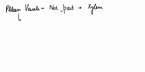 which-one-of-the-following-is-not-a-constituent-of-xylema-xylem-pith-b-xylem-parenchyma-c-pholem-vessel-d-xylem-fibre-89814