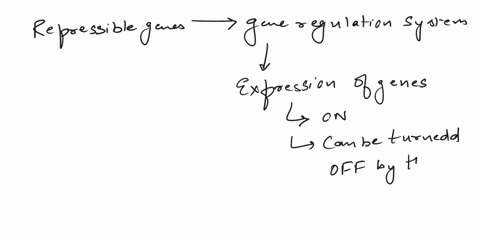 which-of-the-following-best-describes-repressible-genes-the-operon-is-always-off-and-is-turned-on-with-presence-of-a-particular-substrate-the-operon-is-always-on-and-is-turned-off-with-prese-21538