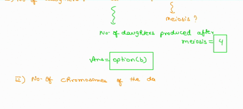 question-1-when-a-cell-with-a-diploid-number-of-20-undergoes-meiosis-how-many-daughter-cells-will-be-produced-2-4-10-12-40-80-question-2-when-a-cell-with-a-diploid-number-of-20-undergoes-mei-17897