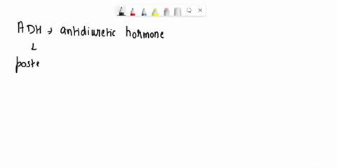 question-21-adh-antidiuretic-hormone-is-synthesized-by-the-the-while-tsh-thyroid-stimulating-hormone-is-synthesized-by-o-a-hypothalamus-anterior-pituitary-b-kidney-thyroid-kidney-anterior-pi-82925