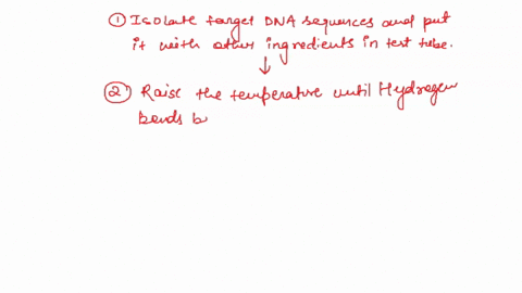 label-the-image-of-pcr-with-the-correct-descriptlon-of-each-step-heat-resistant-dna-polymerase-roplicates-dna-raise-tne-iemperature-and-ihen-lower-ilagain-replicale-uore-stands-raise-the-iem-72785