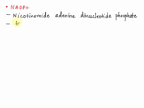 what-are-nadp-and-nadph-which-has-more-electrons-58598