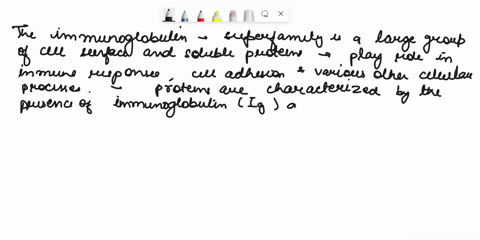 28-the-immunoglobulin-superfamily-includes-a-variety-of-membrane-bound-glycoproteins-2-points-true-false-43968
