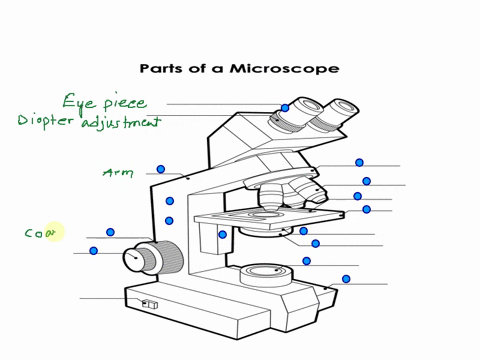 awcek-1-rolab-tutor-use-and-application-of-microscopy-identily-the-parts-ihe-compound-lght-microscape-maq-io-apptopriale-iabcl-e-the-appropriate-target-sctce-ocular-ilils-conicun-et-hmlelm-h-06036