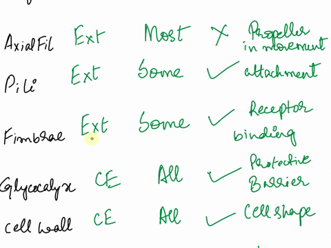 bacteria-archaea-complete-the-following-table-with-as-much-information-as-possible-name-of-structure-location-internal-external-or-cell-envelope-found-in-all-most-or-some-details-structure-f-48517