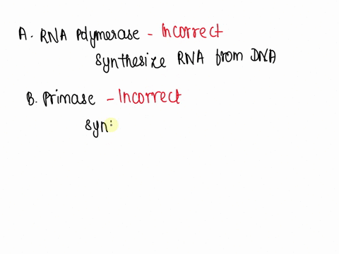 which-of-the-following-enzymes-can-polymerize-deoxyribonucleotides-into-dna-select-one-a-rna-polymerase-primase-reverse-transcriptase-d-dna-ligase-dna-gyrase-17695