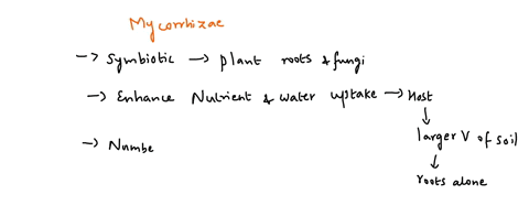 which-of-the-following-correctly-describes-mycorrhizae-fungi-that-aid-plant-roots-with-the-absorption-of-water-and-minerals-plants-that-live-on-other-plants-without-harming-them-filamentous-82514
