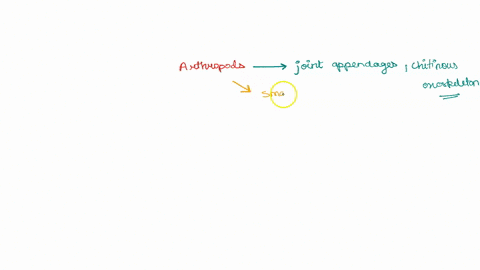 what-are-the-setbacks-coupled-with-regards-to-living-and-reproducing-in-terrestrial-environment-of-arthropods-give-examples-on-how-most-of-the-organisms-under-phylum-arthropoda-overcome-this-13653