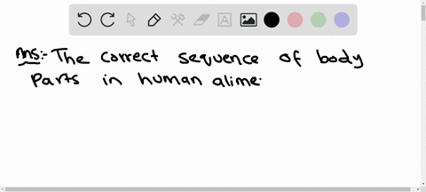 which-is-the-correct-sequence-of-body-parts-in-the-human-alimentary-canal-a-mouth-stomach-small-intestine-large-intestine-oesophagus-b-mouth-oesophagus-stomach-small-intestine-large-intestin-63792