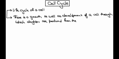 what-describe-happens-the-cell-elringle-each-jcklstdee-the-stages-within-this-process-and-brief-description-51742