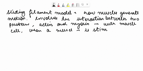 sketch-a-diagram-of-a-skeletal-muscle-sarcomere-label-the-key-components-including-filaments-and-the-various-lines-and-bands-5-pts-in-your-own-words-describe-the-sliding-filament-model-and-h-96915