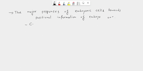 15-which-are-major-responses-of-embryonic-cells-to-positional-information-in-the-embryo-check-all-that-apply-cell-division-cell-migration-glucose-uptake-cell-differentiation-fusion-with-neig-69962