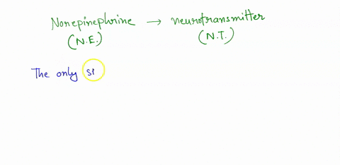 the-only-site-where-norepinephrine-is-the-main-neurotransmitters-at-the-synapse-between-a-sympathetic-postganglionic-nerve-fiber-and-the-effector-organ-true-or-false-63132